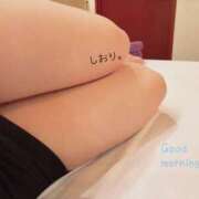 ヒメ日記 2025/07/29 08:21 投稿 しおり 海上空天 SHANGHAI HEAVEN