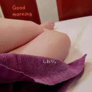 ヒメ日記 2025/08/18 08:35 投稿 しおり 海上空天 SHANGHAI HEAVEN