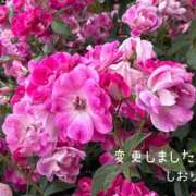 ヒメ日記 2025/09/03 10:16 投稿 しおり 海上空天 SHANGHAI HEAVEN