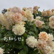 ヒメ日記 2025/09/27 19:19 投稿 しおり 海上空天 SHANGHAI HEAVEN