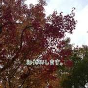 ヒメ日記 2025/11/19 14:25 投稿 しおり 海上空天 SHANGHAI HEAVEN