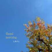 ヒメ日記 2025/11/28 08:59 投稿 しおり 海上空天 SHANGHAI HEAVEN