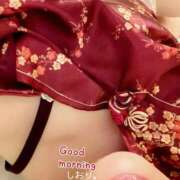 ヒメ日記 2025/12/14 07:43 投稿 しおり 海上空天 SHANGHAI HEAVEN