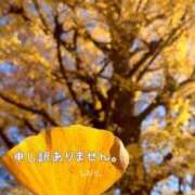 ヒメ日記 2025/12/16 18:38 投稿 しおり 海上空天 SHANGHAI HEAVEN