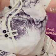 ヒメ日記 2025/12/27 08:19 投稿 しおり 海上空天 SHANGHAI HEAVEN