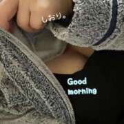 ヒメ日記 2026/01/28 07:40 投稿 しおり 海上空天 SHANGHAI HEAVEN