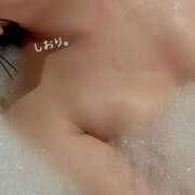 ヒメ日記 2026/01/30 19:40 投稿 しおり 海上空天 SHANGHAI HEAVEN