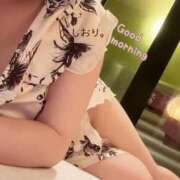 ヒメ日記 2026/02/10 07:22 投稿 しおり 海上空天 SHANGHAI HEAVEN