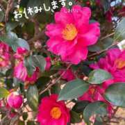 ヒメ日記 2026/02/19 20:36 投稿 しおり 海上空天 SHANGHAI HEAVEN