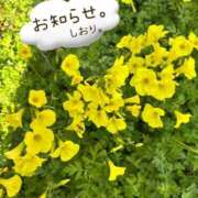 ヒメ日記 2026/02/26 17:31 投稿 しおり 海上空天 SHANGHAI HEAVEN