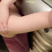 ヒメ日記 2026/03/22 08:28 投稿 しおり 海上空天 SHANGHAI HEAVEN