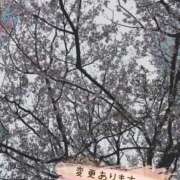 ヒメ日記 2026/03/26 18:01 投稿 しおり 海上空天 SHANGHAI HEAVEN