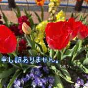 ヒメ日記 2026/04/08 05:44 投稿 しおり 海上空天 SHANGHAI HEAVEN