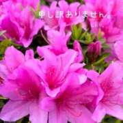 ヒメ日記 2026/04/29 01:34 投稿 しおり 海上空天 SHANGHAI HEAVEN