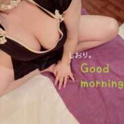 ヒメ日記 2026/05/20 07:52 投稿 しおり 海上空天 SHANGHAI HEAVEN