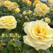 ヒメ日記 2026/05/24 17:35 投稿 しおり 海上空天 SHANGHAI HEAVEN