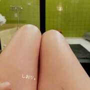 ヒメ日記 2026/05/31 20:16 投稿 しおり 海上空天 SHANGHAI HEAVEN