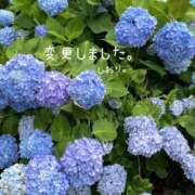 ヒメ日記 2026/06/11 14:49 投稿 しおり 海上空天 SHANGHAI HEAVEN