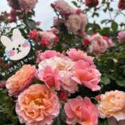ヒメ日記 2026/06/12 14:39 投稿 しおり 海上空天 SHANGHAI HEAVEN