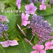ヒメ日記 2026/07/04 06:00 投稿 しおり 海上空天 SHANGHAI HEAVEN