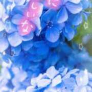 ヒメ日記 2025/06/22 11:08 投稿 近藤いくみ 五十路マダム東広島店(カサブランカグループ)