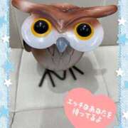 ヒメ日記 2025/07/06 09:48 投稿 近藤いくみ 五十路マダム東広島店(カサブランカグループ)