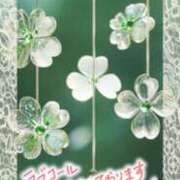 ヒメ日記 2025/09/07 11:30 投稿 近藤いくみ 五十路マダム東広島店(カサブランカグループ)