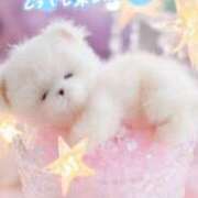 ヒメ日記 2025/09/14 09:48 投稿 近藤いくみ 五十路マダム東広島店(カサブランカグループ)