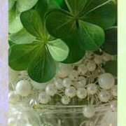 ヒメ日記 2025/10/05 09:34 投稿 近藤いくみ 五十路マダム東広島店(カサブランカグループ)