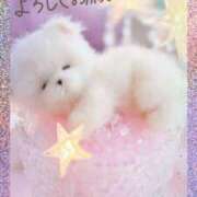 ヒメ日記 2025/10/12 08:28 投稿 近藤いくみ 五十路マダム東広島店(カサブランカグループ)