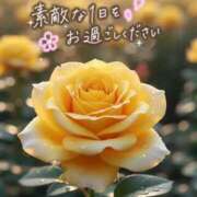 ヒメ日記 2025/11/09 08:22 投稿 近藤いくみ 五十路マダム東広島店(カサブランカグループ)