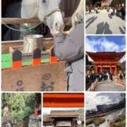 ヒメ日記 2026/01/02 14:02 投稿 メイサ 梅田ゴールデン倶楽部