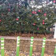 ヒメ日記 2024/12/18 17:44 投稿 よしの 池袋おかあさん