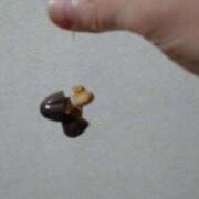 ヒメ日記 2025/02/03 22:45 投稿 よしの 池袋おかあさん