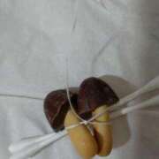 ヒメ日記 2025/02/07 19:53 投稿 よしの 池袋おかあさん