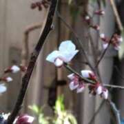 ヒメ日記 2025/02/28 23:14 投稿 よしの 池袋おかあさん