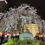 ヒメ日記 2025/03/30 23:54 投稿 倉本 プレジデントクラブ