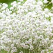 ヒメ日記 2025/01/19 23:10 投稿 佐野　まい 川崎南町 素敵な奥様（川崎ハレ系）