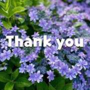 ヒメ日記 2025/06/26 23:08 投稿 佐野　まい 川崎南町 素敵な奥様（川崎ハレ系）