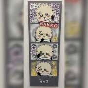 ヒメ日記 2025/04/07 06:51 投稿 佐々木りお 扉の向こう側