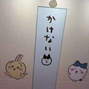 ヒメ日記 2025/06/16 06:51 投稿 佐々木りお 扉の向こう側