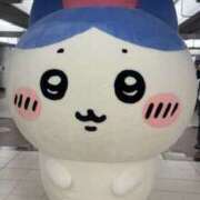 ヒメ日記 2025/09/15 07:00 投稿 佐々木りお 扉の向こう側