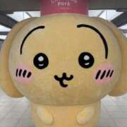 ヒメ日記 2025/09/22 07:17 投稿 佐々木りお 扉の向こう側