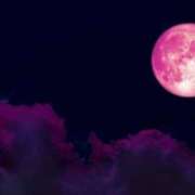 ヒメ日記 2025/06/09 18:48 投稿 なぎさ モアグループ南越谷人妻花壇