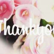 ヒメ日記 2025/09/17 01:51 投稿 なぎさ モアグループ南越谷人妻花壇