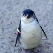 ヒメ日記 2025/03/21 22:43 投稿 りかこ 完熟ばなな 谷九店