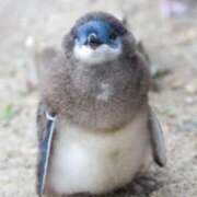 ヒメ日記 2025/05/09 21:03 投稿 りかこ 完熟ばなな 谷九店