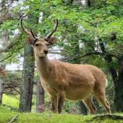 ヒメ日記 2025/05/28 22:45 投稿 りかこ 完熟ばなな 谷九店