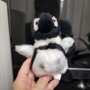 ヒメ日記 2025/06/01 23:30 投稿 りかこ 完熟ばなな 谷九店