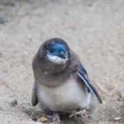 ヒメ日記 2025/06/16 16:56 投稿 りかこ 完熟ばなな 谷九店